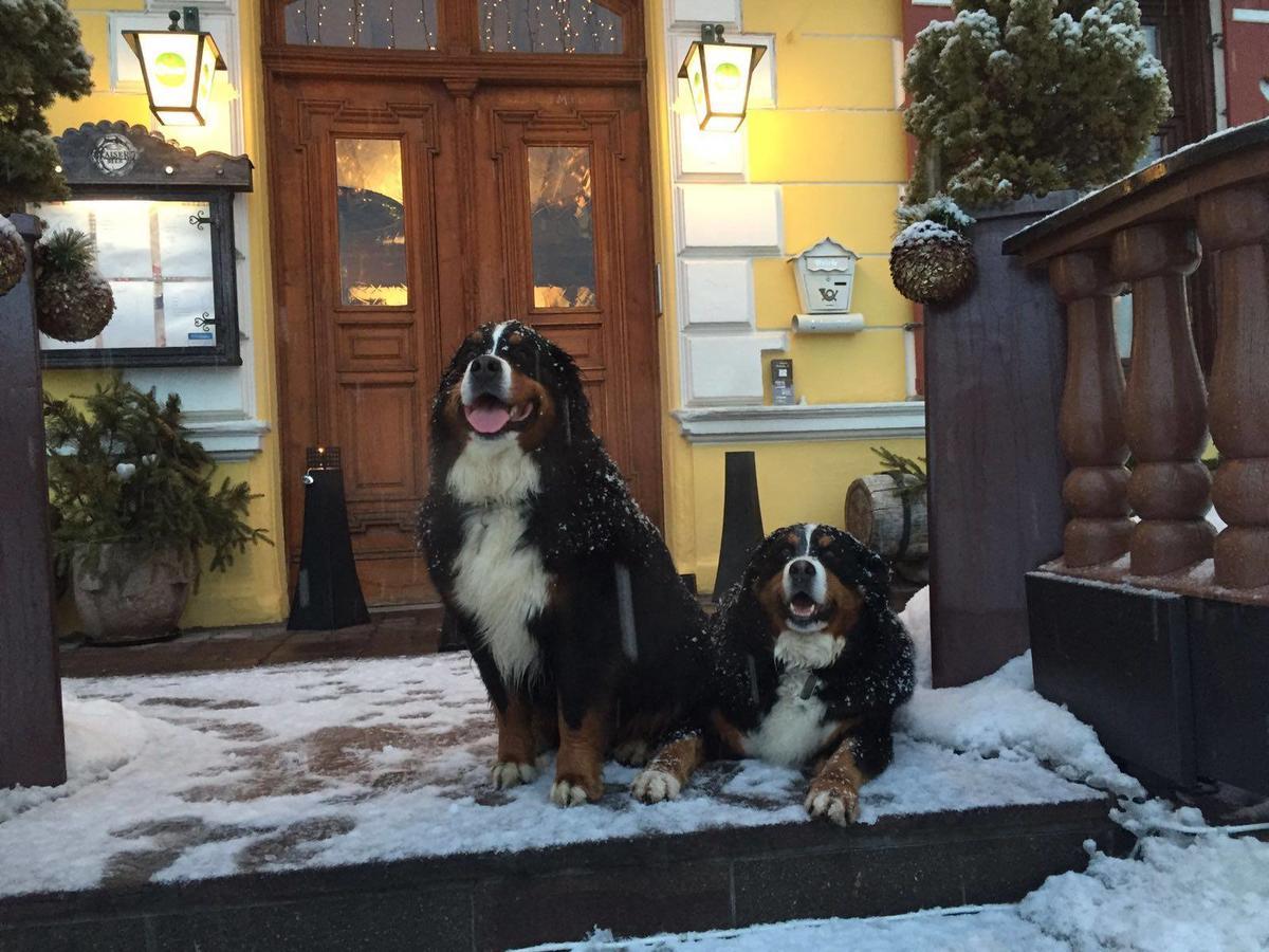 Hotel Gasthof Post Fusch an der Glocknerstraße Eksteriør billede
